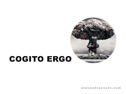 Cogito Ergo Bum