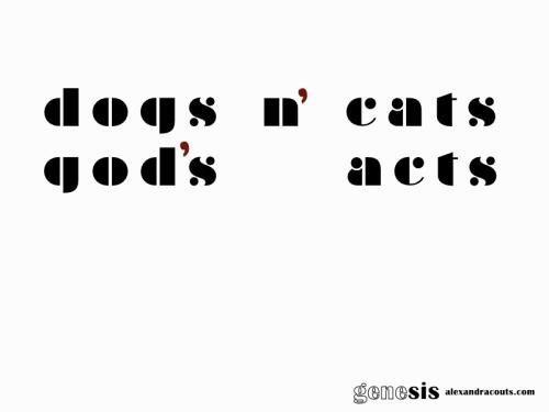 Dogs and Cats